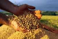 Safra 2015/2016 atingirá 210,5 milhões de toneladas de grãos