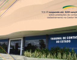 TCE-PI suspende até dia 31/01 sanções sobre prestações de contas e cadastramento no Gestor Web