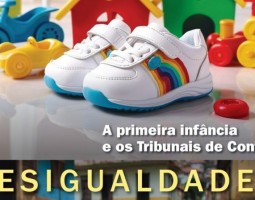 Auditor do TCE-PI participa de livro sobre a Primeira Infância e os Tribunais de Contas