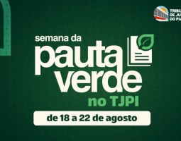 TJPI participa da Semana Nacional da Pauta Verde para priorizar processos ambientais