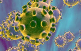 Brasil confirma primeiro caso do novo coronavírus