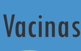 Primeira fase da campanha de vacinação contra gripe vai priorizar idosos e trabalhadores de saúde