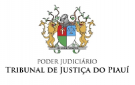 AO PRESIDENTE DO TRIBUNAL DE JUSTIÇA DO PIAUÍ; DESEMBARGADOR SEBASTIÃO RIBEIRO MARTINS