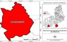 O MUNICÍPIO DE PARNAGUÁ