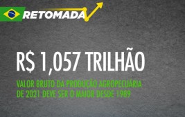 Valor da Produção Agropecuária de 2021 deve ser o maior desde 1989