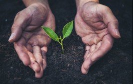 Plano quer reduzir emissão de carbono na agropecuária na próxima década