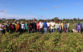 Apoio da Prefeitura Municipal fortalece Agricultura Familiar em Uruçuí