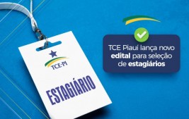 TCE Piauí lança novo edital para seleção de estagiários