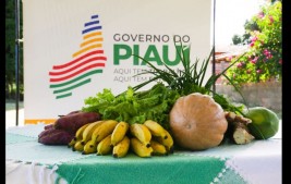 Delegações do G20 visitam projetos que são exemplos do Piauí de combate à fome e à pobreza