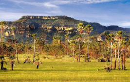 Elegia a Campo Maior