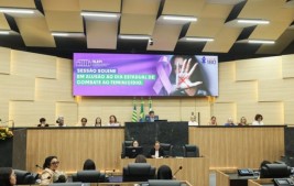 Dia Estadual de Combate ao Feminicídio foi lembrado em solenidade na Alepi