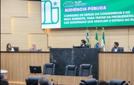 Audiência pública aponta ações necessárias para o combate aos incêndios