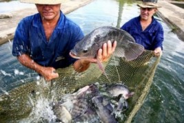 Governo doa máquinas para incentivar aquicultura