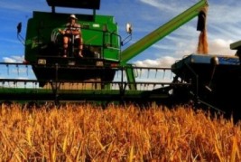 Brasil deve colher 188 milhões toneladas de grãos este ano