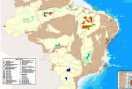 Empresa do RN vence leilão e vai explorar gás no Piauí