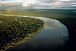 Conheça 12 importantes ações do Brasil em favor do clima