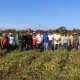 Apoio da Prefeitura Municipal fortalece Agricultura Familiar em Uruçuí