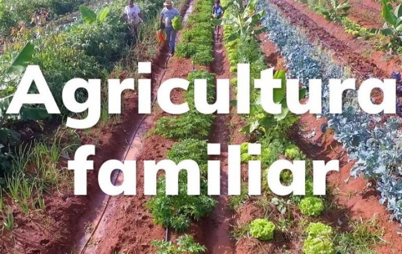 Agricultura Familiar avança com políticas públicas de incentivo ao produtor