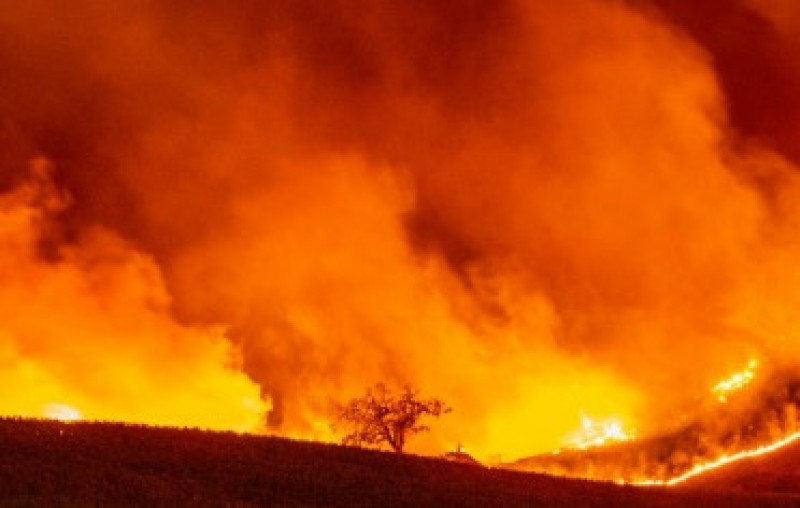 Operação Verde Brasil aplica cerca de R$ 142 milhões em multas e combate 1.835 focos de incêndio