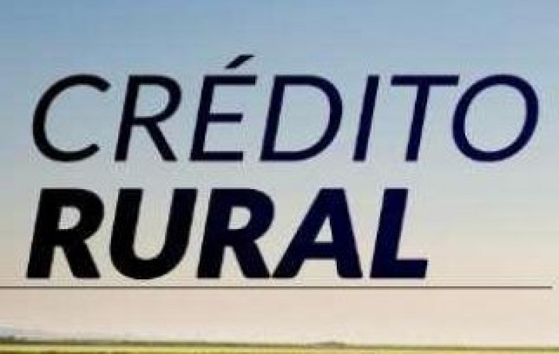Desempenho do crédito rural cresce 8% para safra 2019/2020