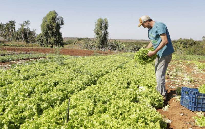 Governo repassa crédito de R$ 220 milhões para agricultura familiar