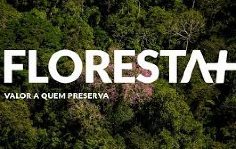 Ministério do Meio Ambiente instituiu o Programa Floresta+