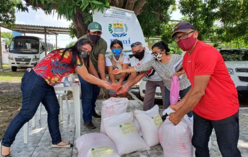 SAF entrega sementes para comunidades atendidas pelo Projeto Cinturão Verde