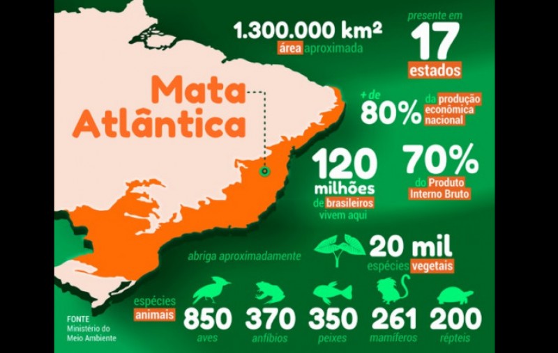 Aplicativo reúne informações sobre as espécies vegetais da Mata Atlântica