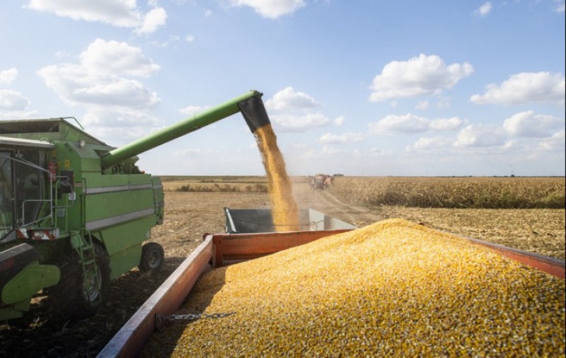 Produção de grãos é estimada em 272,5 milhões de toneladas com clima favorável para as culturas de 2ª safra