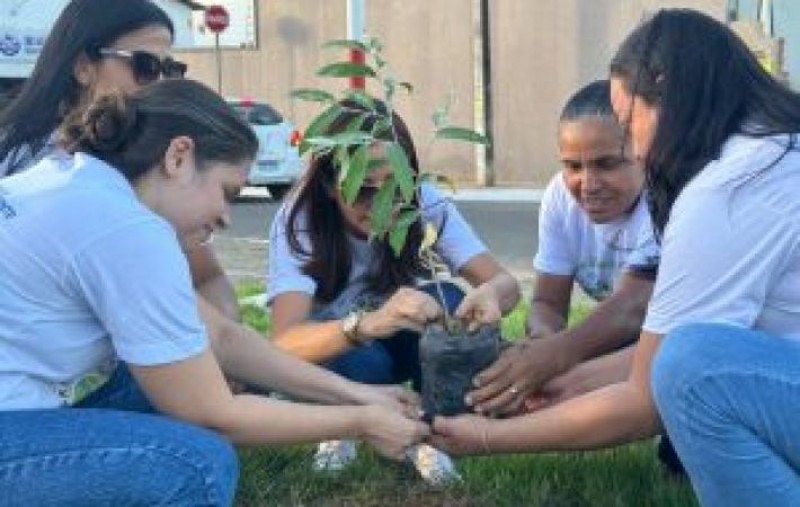 Secretaria  de Meio Ambiente realiza plantio de mudas na Pracinha do Novo Horizonte I - Uruçuí