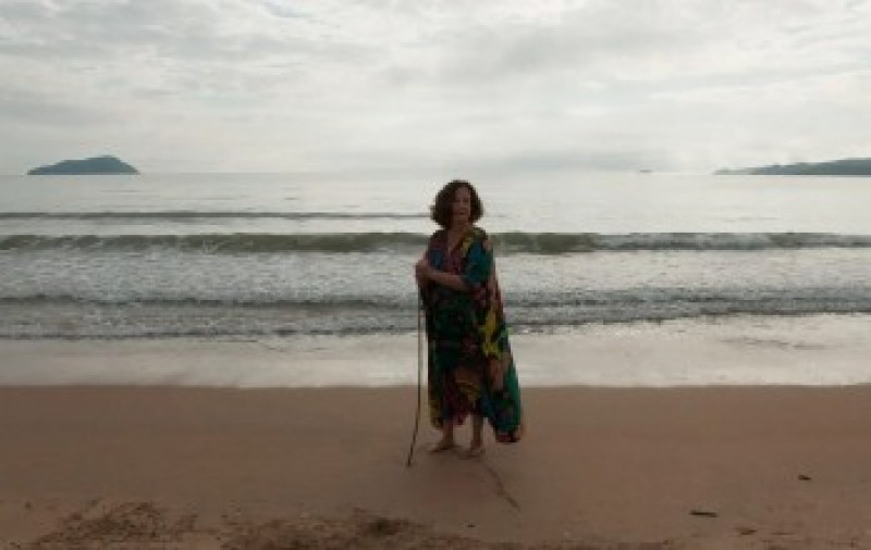 Revista Z Cultural homenageia Heloisa Teixeira